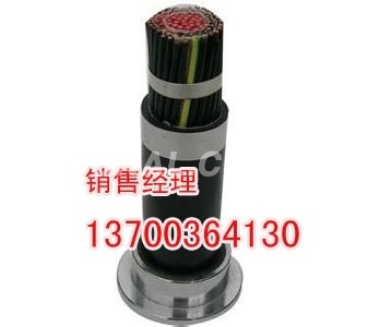 订做铠装同轴电缆型号，开发设计