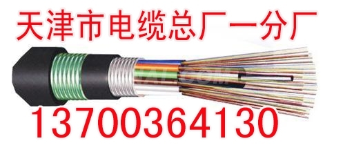 玉林WDZHYAT通讯电缆结构
