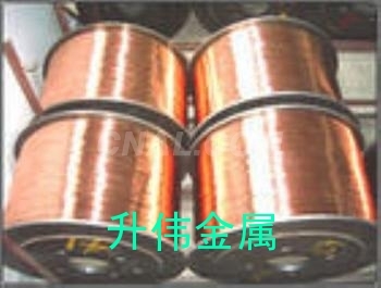 特硬大直径C5240环保磷铜线