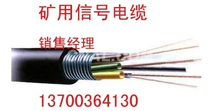 V开发阻燃控制电缆厂家，设计ZRKVV