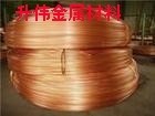 特硬磷铜线厂家=C5100磷铜线<em class='color-orange'>供应</em>商