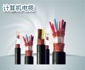 天津<em class='color-orange'>DJYPV</em>22<em class='color-orange'>計算機電纜</em>，DJYVP3