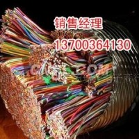 大连大对数<em class='color-orange'>通信</em><em class='color-orange'>电缆</em>厂家<em class='color-orange'>HYA</em><em class='color-orange'>电缆</em>