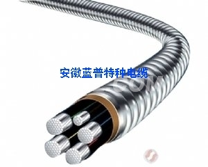連鎖鎧裝電纜YJHLV82（ACWU90）