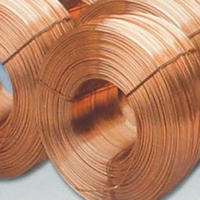 瑞鑫<em class='color-orange'>T</em>2紫銅線 規(guī)格