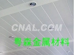 300x1200mm室外装饰用铝<em class='color-orange'>天花板</em>