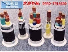 KFF46RP电缆(中石油)控制电缆
