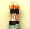 DJYPV2*2*1.5<em class='color-orange'>计算机电缆</em>