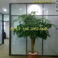 東莞辦公室雙層條紋玻璃隔斷牆