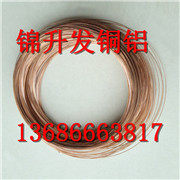 <em class='color-orange'>QBe2</em><em class='color-orange'>鈹青銅線</em> <em class='color-orange'>耐磨</em><em class='color-orange'>鈹</em><em class='color-orange'>銅線</em>
