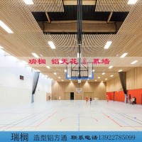 篮球场铝方通<em class='color-orange'>吊顶</em>