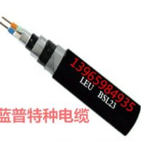 <em class='color-orange'>環保型</em>高導電塑料護套綜合<em class='color-orange'>貫通</em><em class='color-orange'>地線</em>