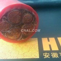 生物化學YGCP22硅橡膠電纜