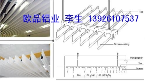 日照挂片天花