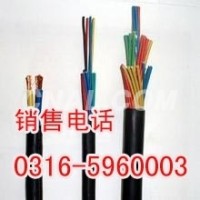 <em class='color-orange'>防爆</em><em class='color-orange'>屏蔽</em><em class='color-orange'>電纜廠家</em>，<em class='color-orange'>IAKVVRP</em><em class='color-orange'>防爆</em>電