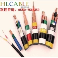 (马鞍山计算机电缆)(ZRB-JVP2V22电缆)