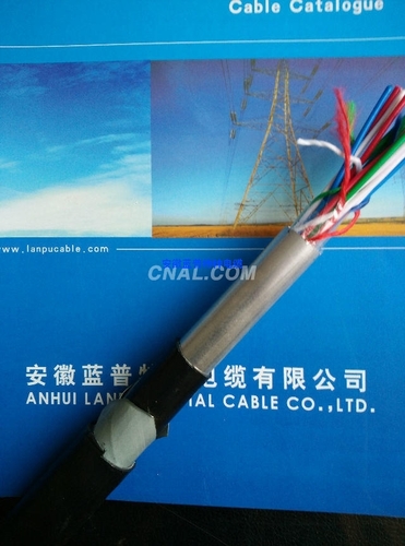 長途對稱電纜-安徽藍普特種電纜