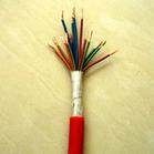 阻燃高溫計算機屏蔽電纜ZR-DJFFP，DJFFP22，DJFFP32高溫防<em class='color-orange'>腐蝕</em>計算機電纜ZR-DJFFP