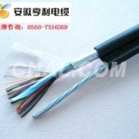 (ZI-JYP2VRP2/22信號(hào)電纜)