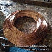 供应 进口c5191磷铜线 优质c5191磷铜丝 弹簧<em class='color-orange'>专用</em>材料 质量优质 价格优惠