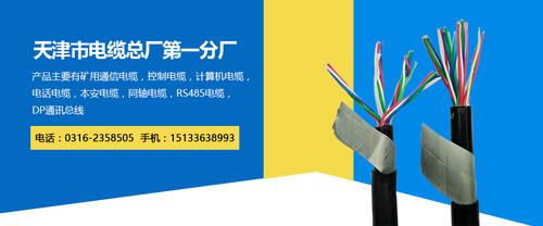 通信電纜HPVV-400*2*0.5