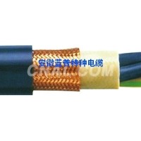 <em class='color-orange'>用於</em>拖鏈的動力電纜 CC305