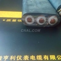 電纜廠YJGCFPB扁電纜專業生產