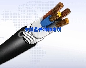 國標電纜- ZR-VCP22-301組合電纜