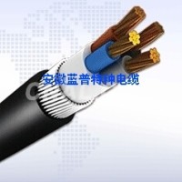 國標電纜- ZR-VCP22-301組合電纜