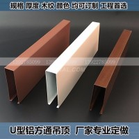 弧形铝方通<em class='color-orange'>吊顶</em>-厂家定做