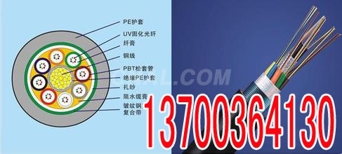 盤錦銷售HYAT53 HYA23通信電纜