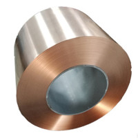 C7025<em class='color-orange'>铜</em><em class='color-orange'>镍</em><em class='color-orange'>硅</em><em class='color-orange'>合金</em>