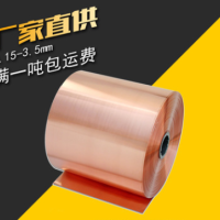 <em class='color-orange'>C54400</em>銅帶