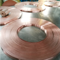 <em class='color-orange'>Alloy</em>7铜带