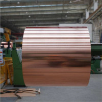 <em class='color-orange'>C50715</em><em class='color-orange'>銅合金</em>